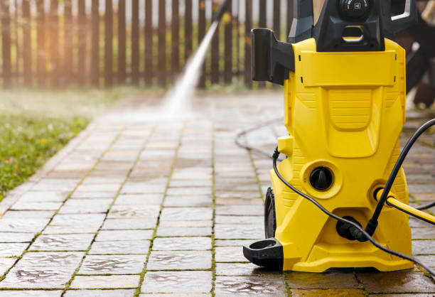 Animal Enclosure Cleaning in White Bluff, TN